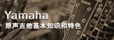 吉他、貝斯和音箱