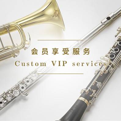 管樂(lè)器?吹奏樂(lè)器