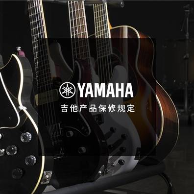 吉他、貝斯和音箱