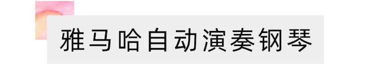 活動報道 | 遠(yuǎn)程藝術(shù)教育大師課活動——雅馬哈特邀藝術(shù)家張奕明大師課