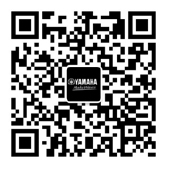 Line 6和Ampeg產品代銷通知
