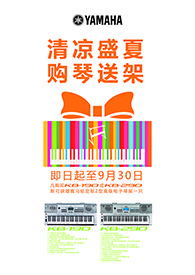 清涼盛夏，購琴送架 